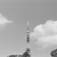 東京タワーにのぼった日