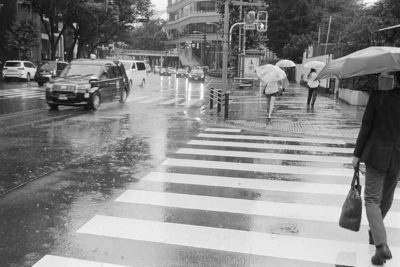 雨の日のスナップ 動画編