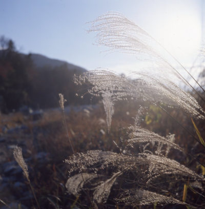 2020年秋の思い出